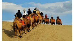 Caravane de chameaux sur la route de la soie